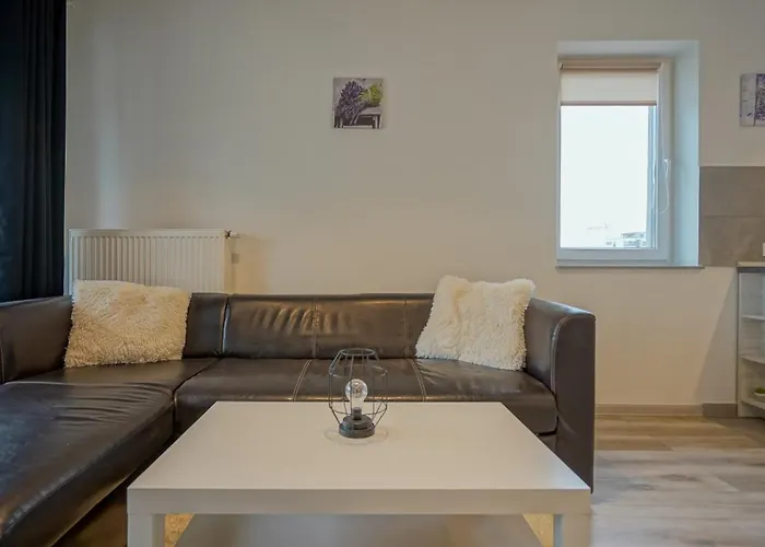 Kasper Studio Coresi